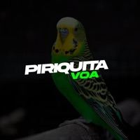 Piriquita Voa (feat. Pedrinho) - Single - DJ R7