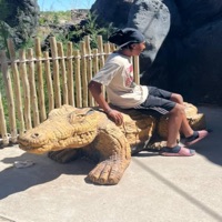 The Sun Will Come Out. - Single - The Naturalist