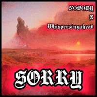SORRY (feat. Whispersinyahead) - Single - N0B0DY