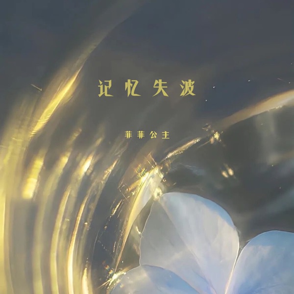 记忆失波 - Single