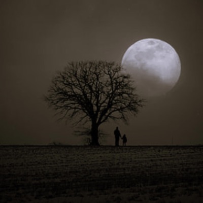 Vem Fazer Gostoso (Dj Arman) (feat. Jayon Tivane) - Single