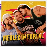 Medley In Fortal - Single - Davizão & Som de Faculdade