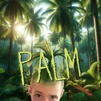 Palm - Single - OW!
