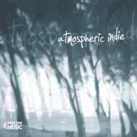 Atmospheric Indie - Matthew James Robertson, Mike Reed & Tom Howe