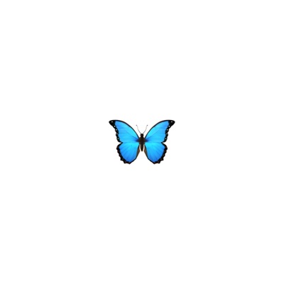 PAPILLON - Single