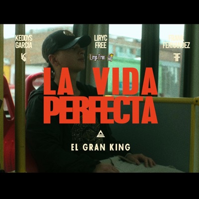 LA VIDA PERFECTA - Single
