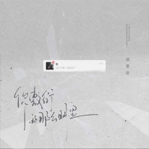 你敷衍的那么明显 - Single