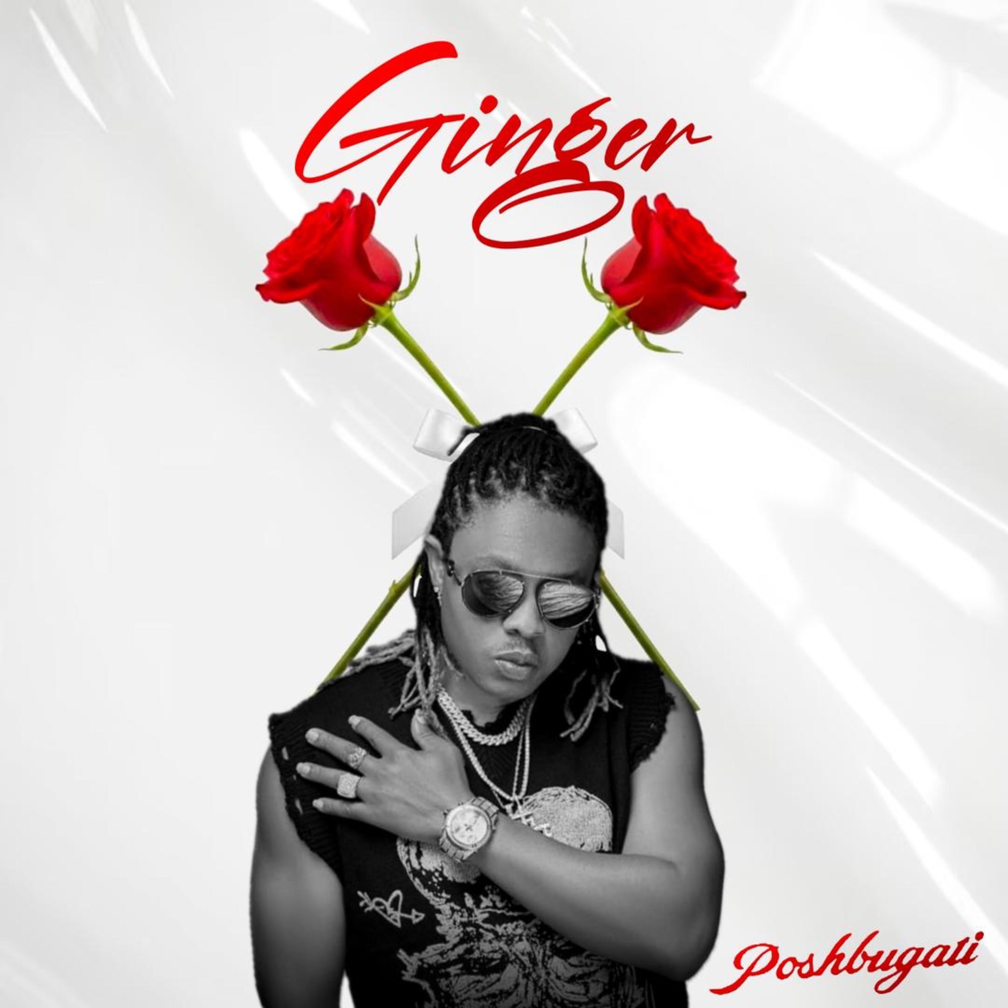 Ginger - Single