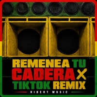 REMENEA CADERA x TIKTOK (Version Isla) - Single - Ribert Music