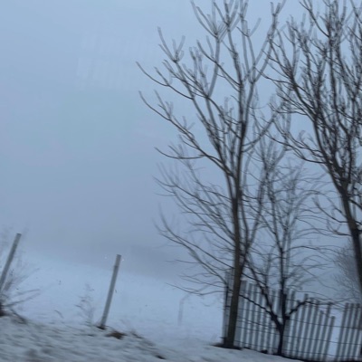 Natural Disaster (feat. kennedyxoxo) - Single