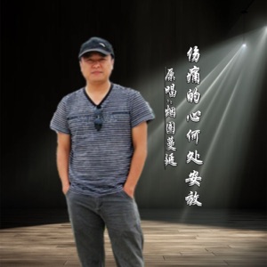 伤痛的心何处安放 (DJ版) - Single