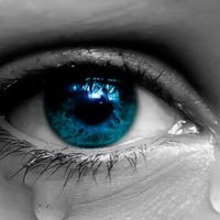 Tears - Single - Maistro