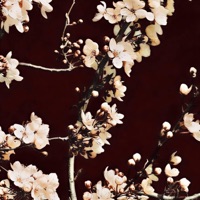 La Dame Derrière les Remparts (feat. VIXYM) - Single - ewyx