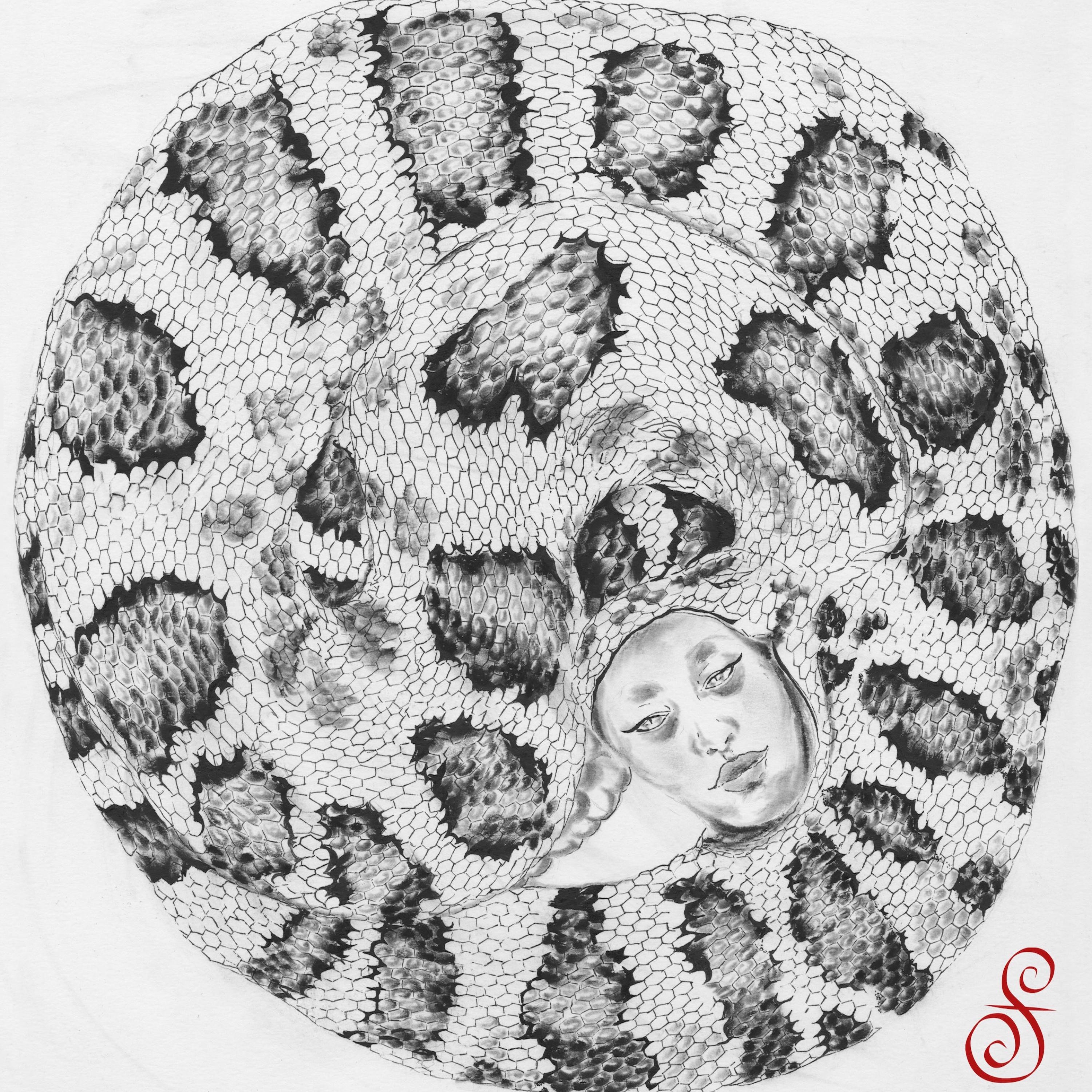 Anaconda Love - Single