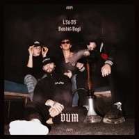 DUM - Single - Bandi&Bagi & LS&DS