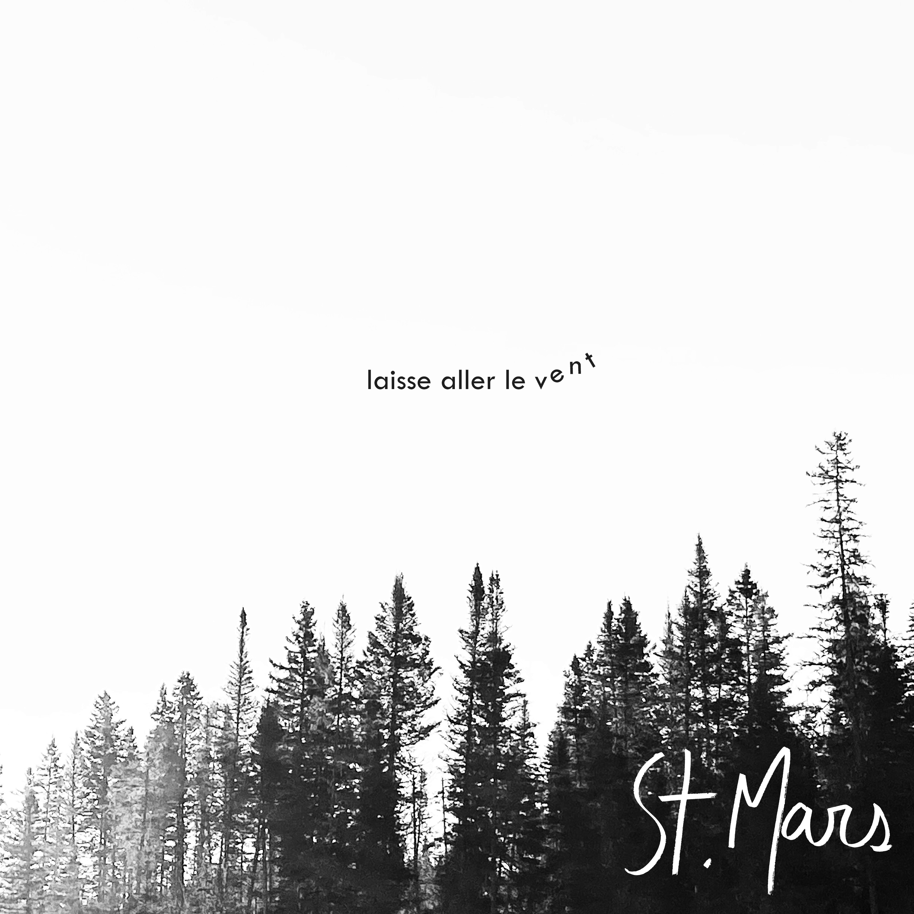 Laisse aller le vent - Single