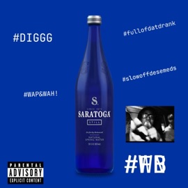 Saratoga Big 3vs