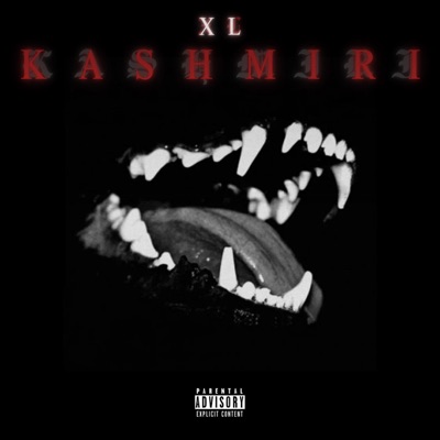 KASHMIRI (feat. G en el Beat & Dimelo Austin) - Single
