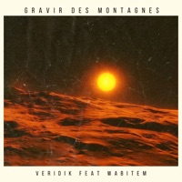 Gravir des montagnes (feat. Veridik) - Single - Wabitem