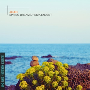 Spring Dreams/Resplendent - Single