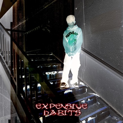 Expensive Habits - Single