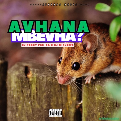 Avhana Mbevha (feat. DJ Percy Pee) - Single