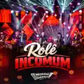 ROLE INCOMUM
