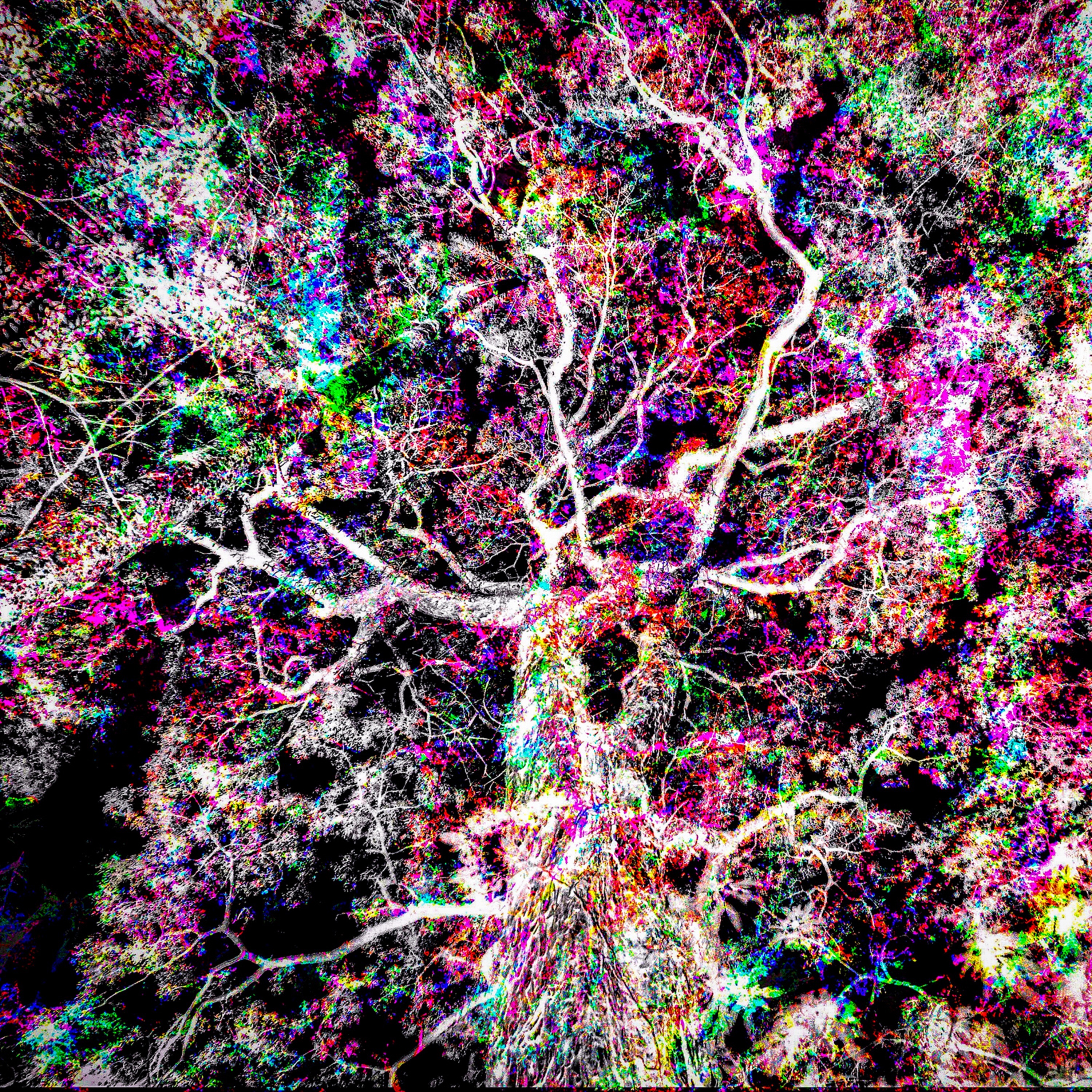 Tecnicolor Sensação