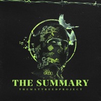 The Summary (feat. Matt Reed) [Radio Edit] - Single - TheMattReedProject