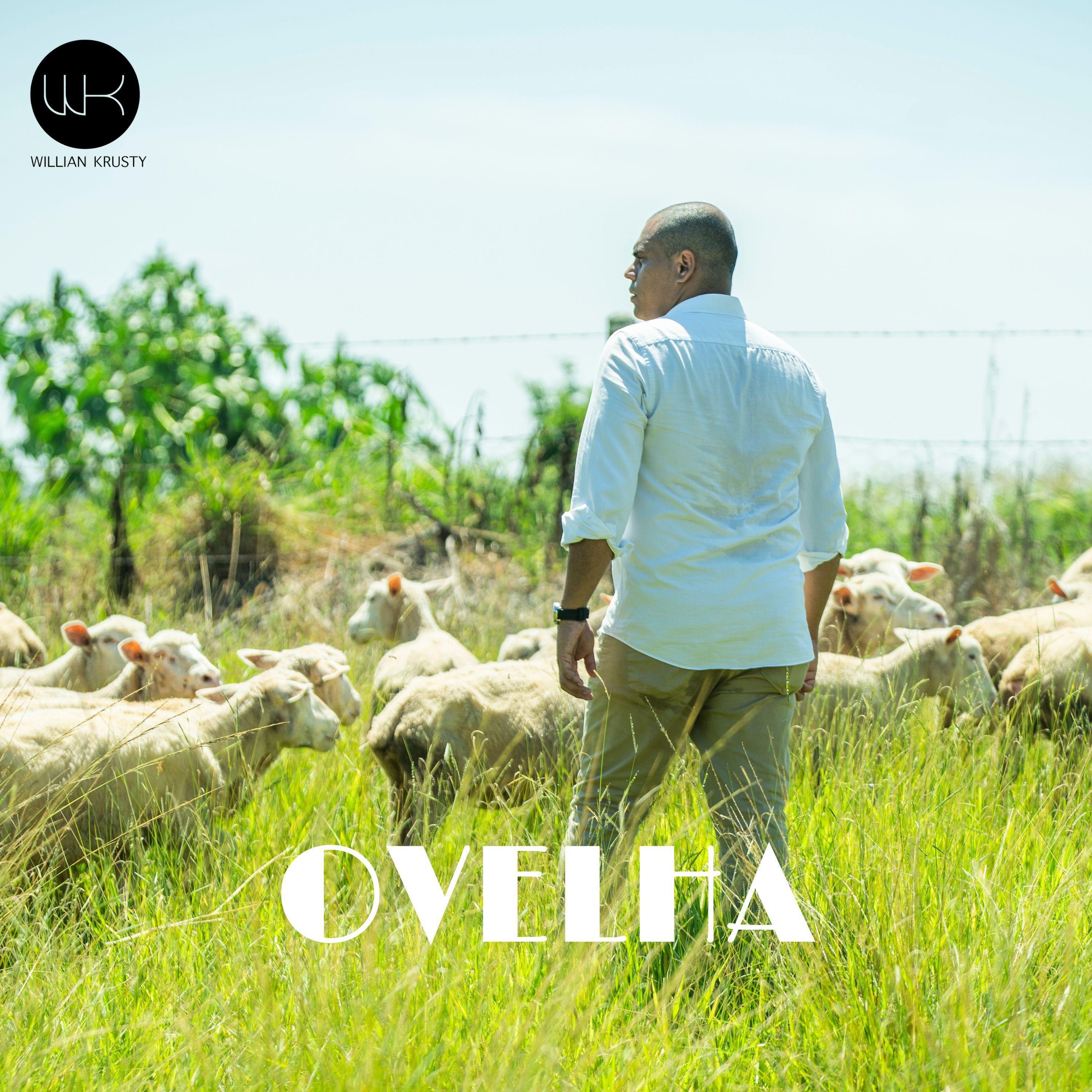 WILLIAN KRUSTY 2025 - OVELHA