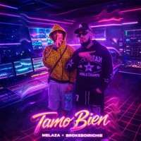 Tamo Bien (feat. 809Melaza) [Remix] - Single - Brokeboirichie