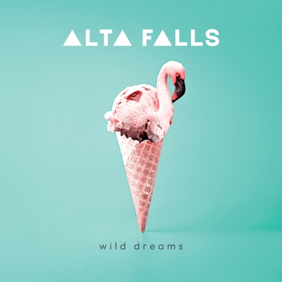 Wild Dreams - EP