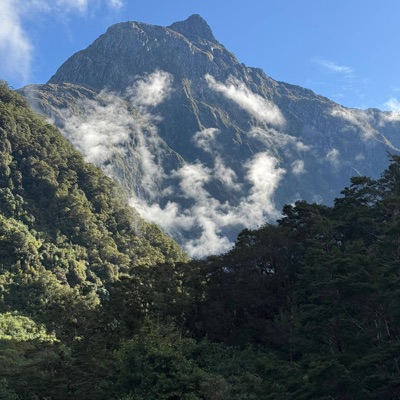 Like I Should - Single