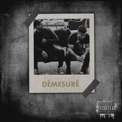 Démesuré (feat. Tony D 33) - Single
