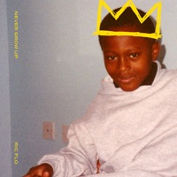 Never Grow Up - Single - Ric Flo