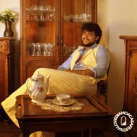 CI VEDIAMO A CASA - Single - Houston