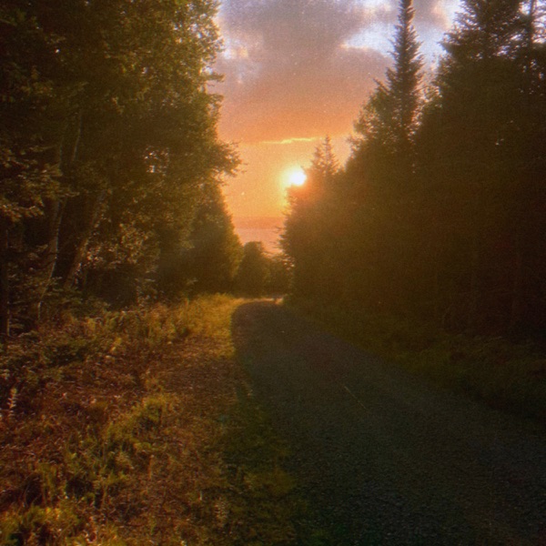 heatwave dream - Single