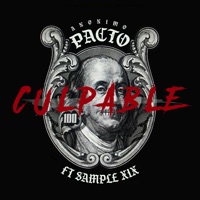 Culpable - Single - Anónimo Pacto & Sample XIX