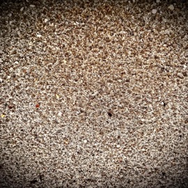 G R A I N Chad Nelson