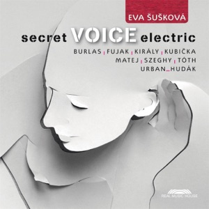 Secret Voice Electric