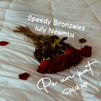 Pe un pat (Sped Up) - Single - Speedy Bronzales & Iuly Neamtu