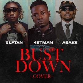Burst Down Cover 4STMan