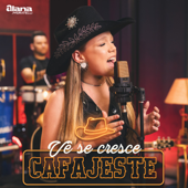 Vê Se Cresce Cafajeste