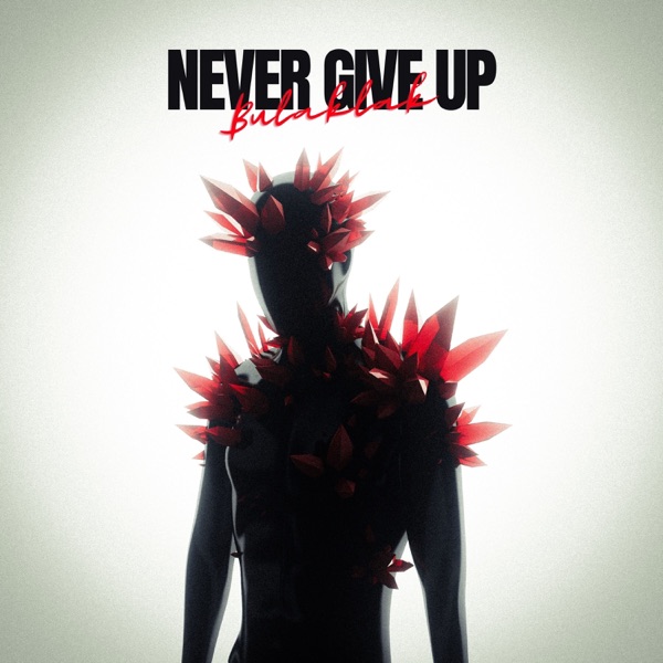 Never Give Up - Single