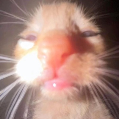 DURANGO (feat. Cosmos Queen) - Single