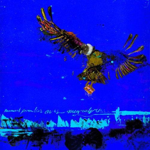 MANUAL PARA LAS AVES MIGRATORIAS (Deluxe Edition) [feat. Jocbeats] - Single