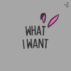 What I Want - Single