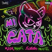 Mi Gata (feat. Ruzzo Doblezz) - Single - Meek Torrez, Aivan Beatz & DimeloooLexx