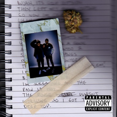 PAIN HEAVY (feat. Dez Hamilton) - Single
