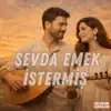 SEVDA EMEK İSTERMİŞ